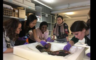 Does your HEI teach Art and Design histories and practices AND have museum collections / special collections?